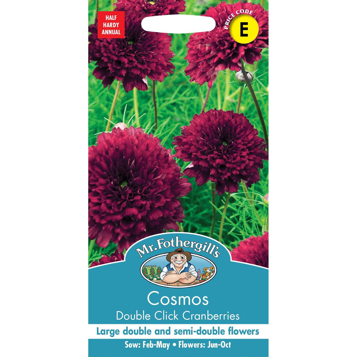 Fothergills Cosmos Double Click Cranberries