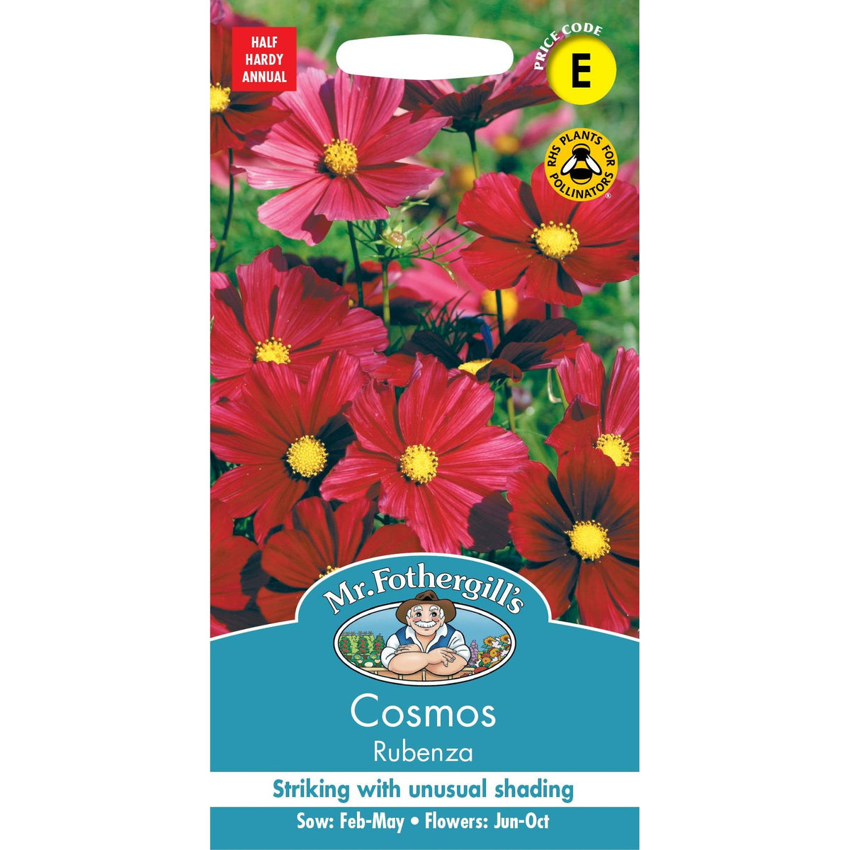 Fothergills Cosmos Rubenza