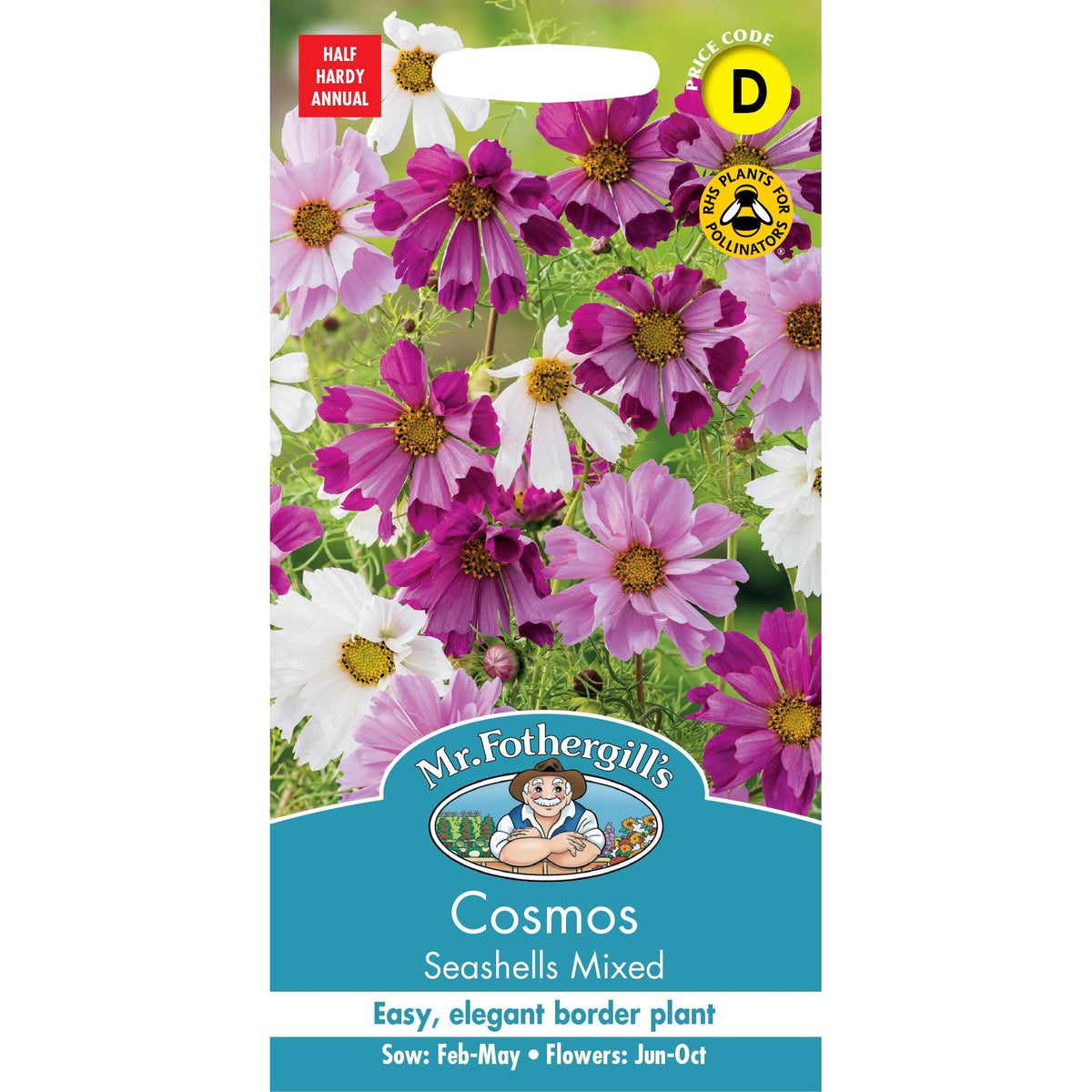 Fothergills Cosmos Seashells Mixed