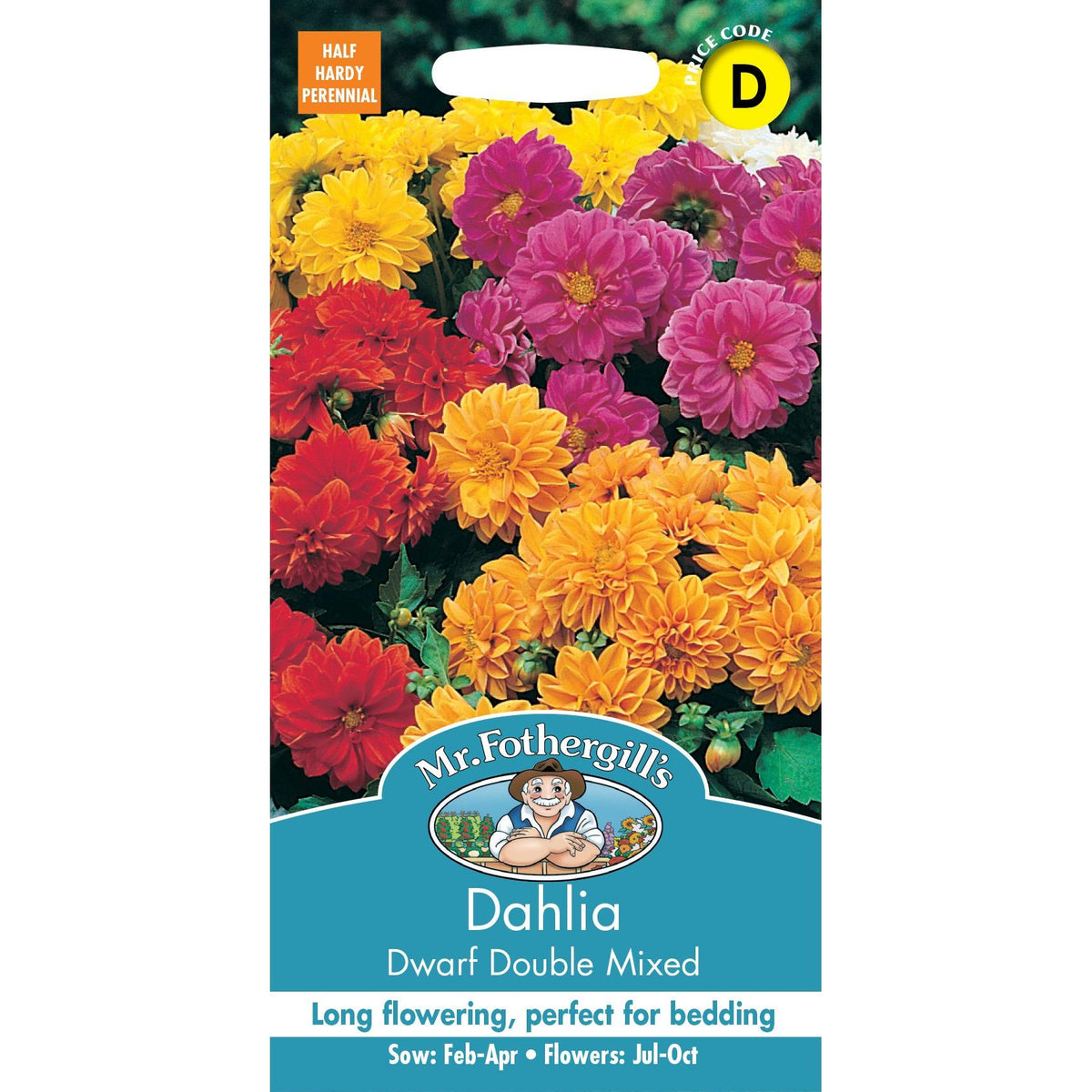 Fothergills Dahlia Dwarf Double Mixed