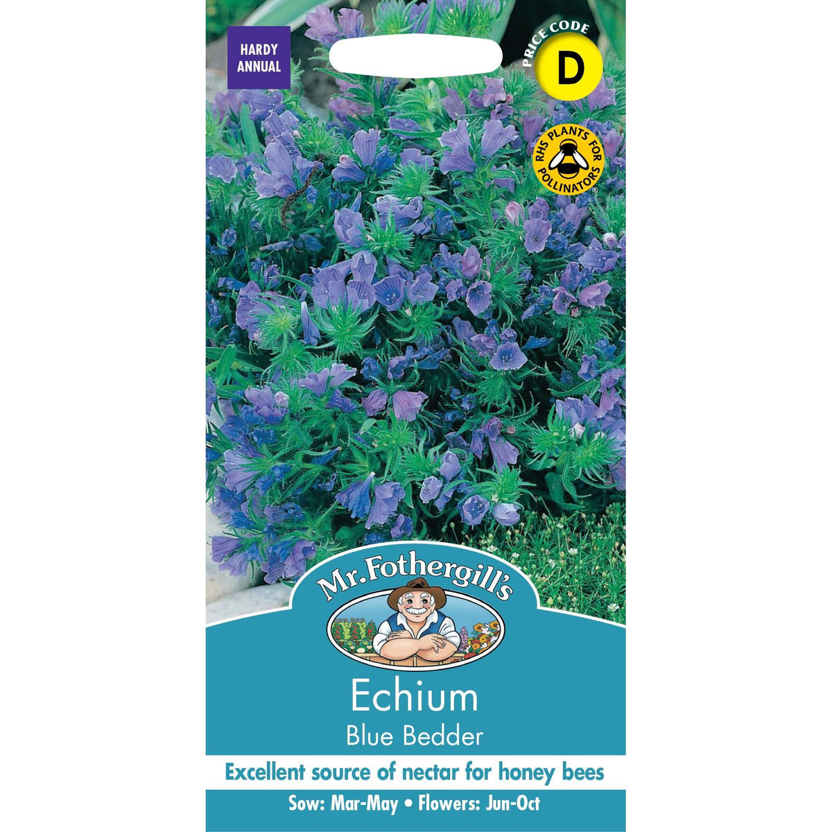 Fothergills Echium Blue Bedder