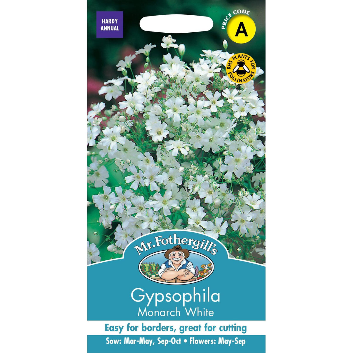 Fothergills Gypsophila Monarch White