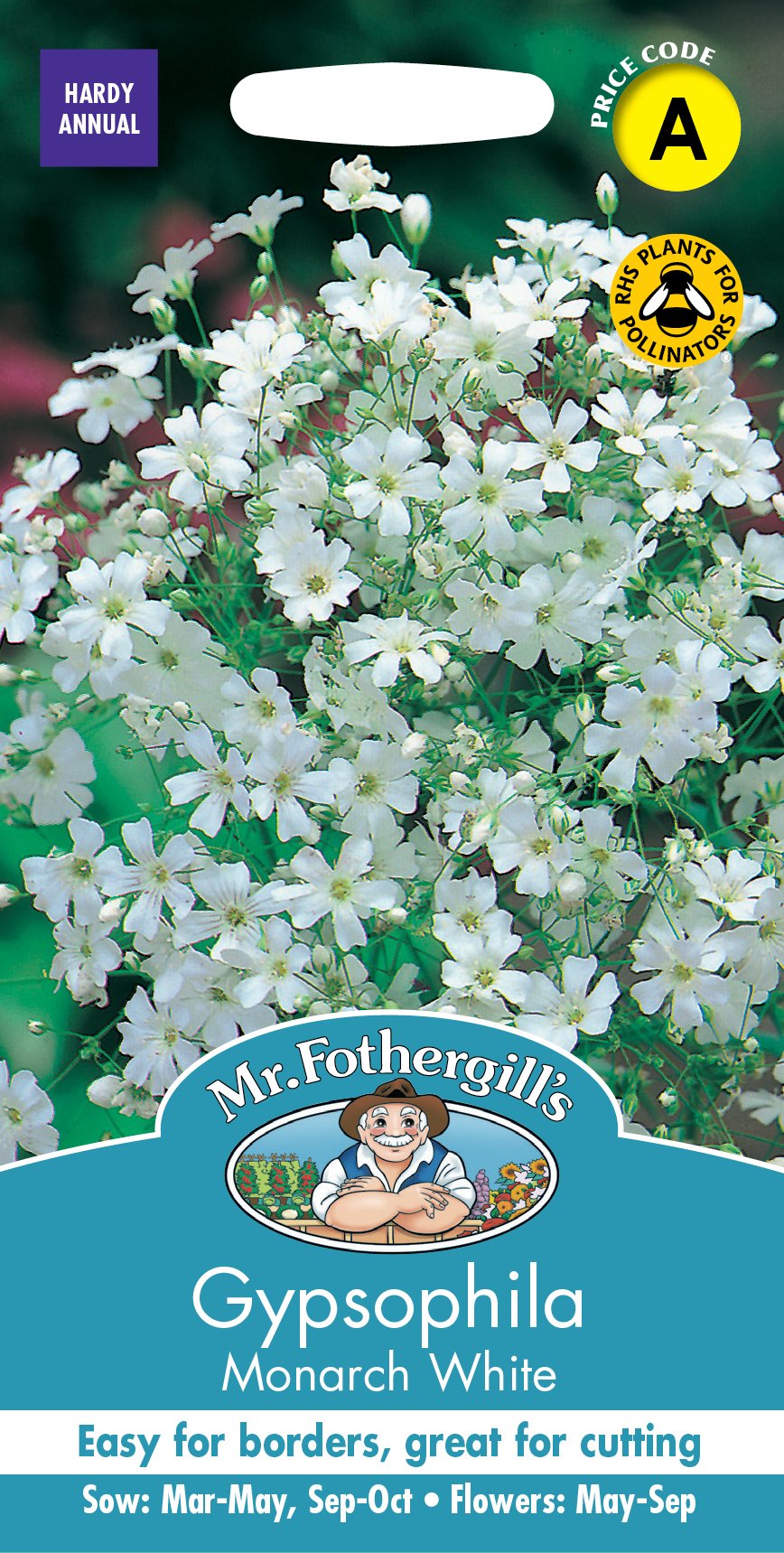 Fothergills Gypsophila Monarch White