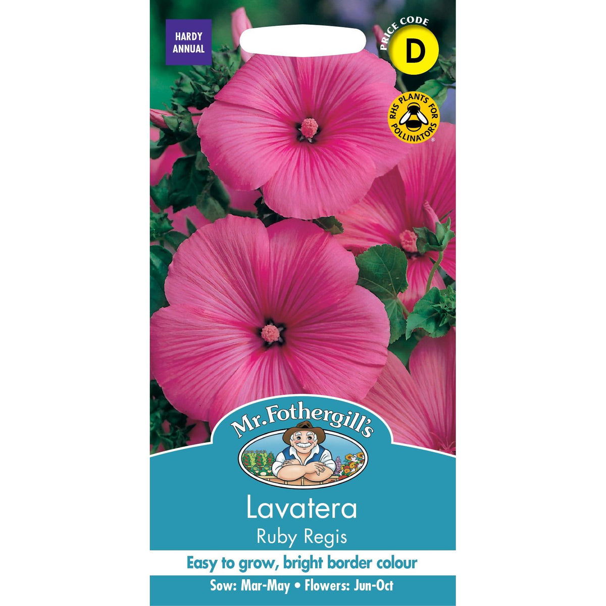 Fothergills Lavatera Ruby Regis