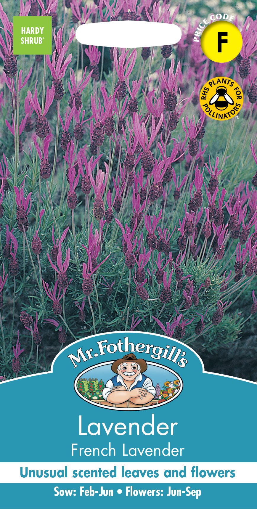 Fothergills Lavender French