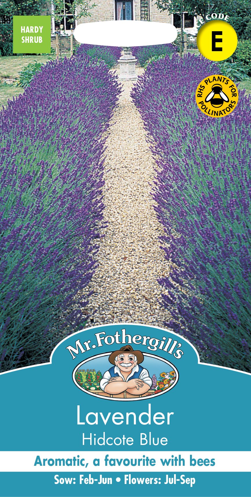 Fothergills Lavander Hidcote Blue
