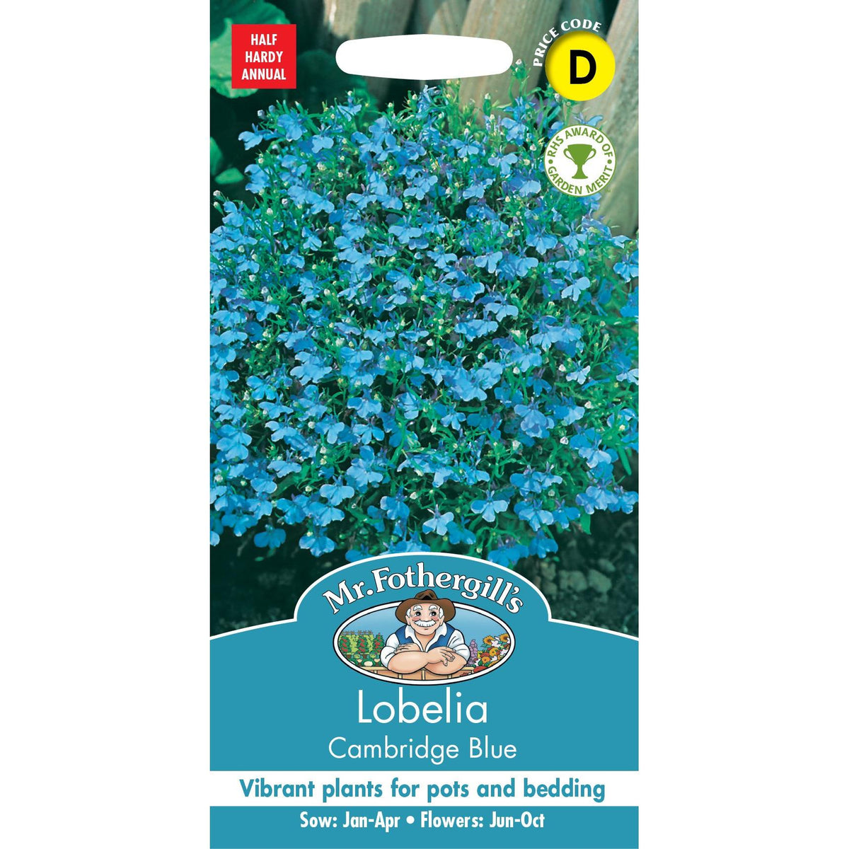 Fothergills Lobelia Cambridge Blue