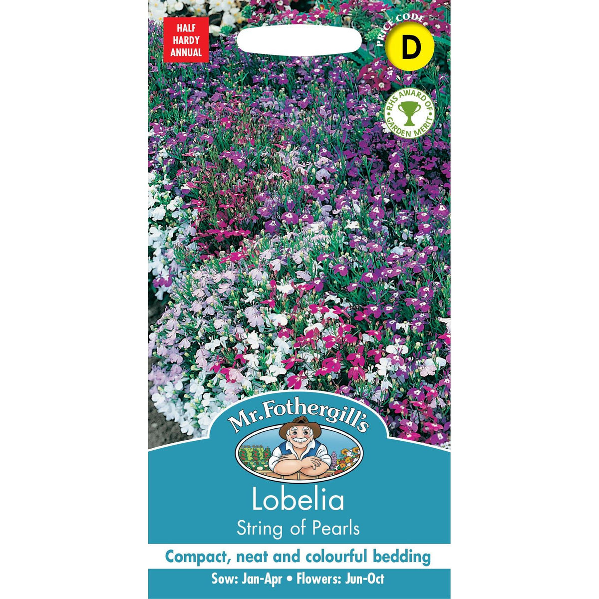 Fothergills Lobelia String Of Pearls