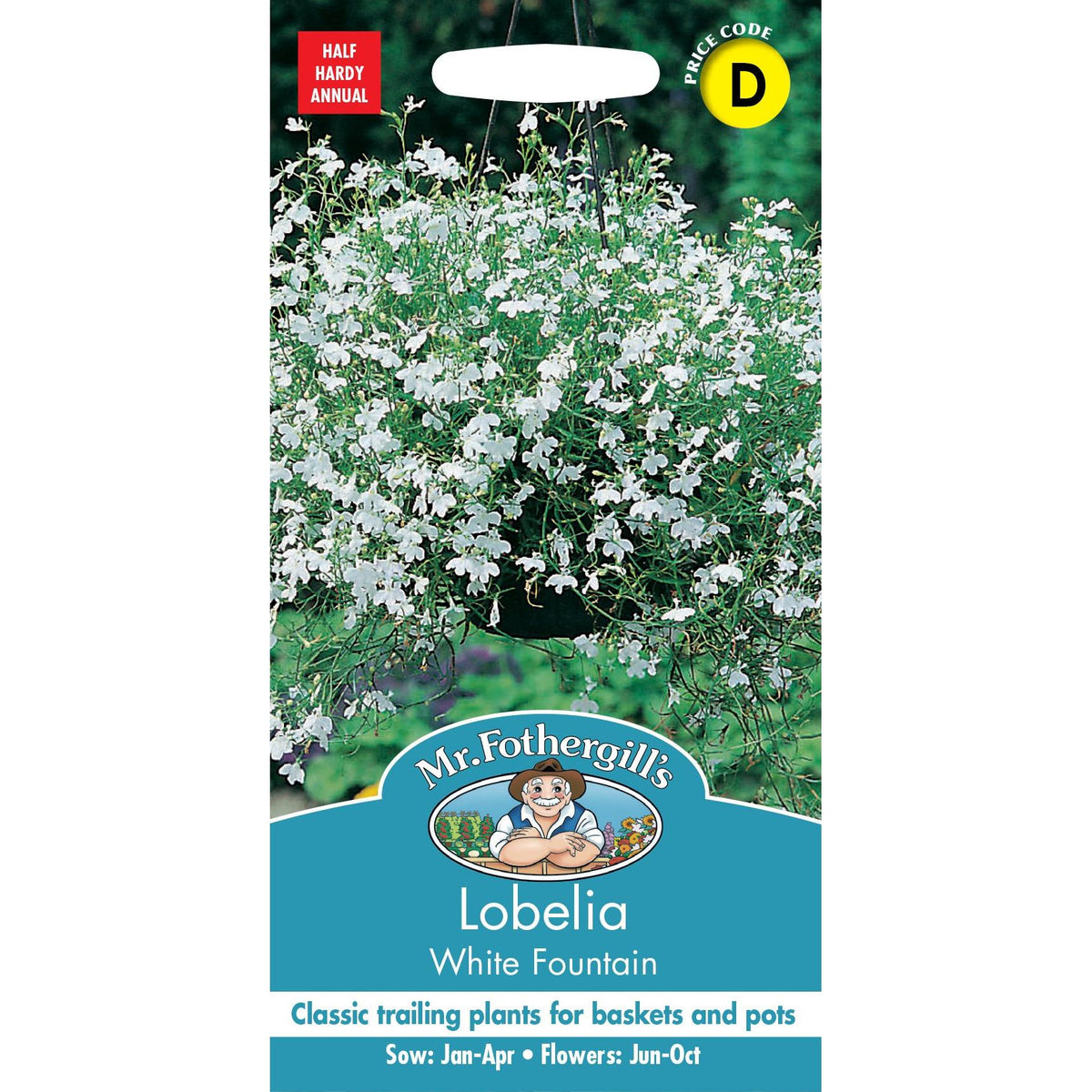 Fothergills Lobelia White Fountain