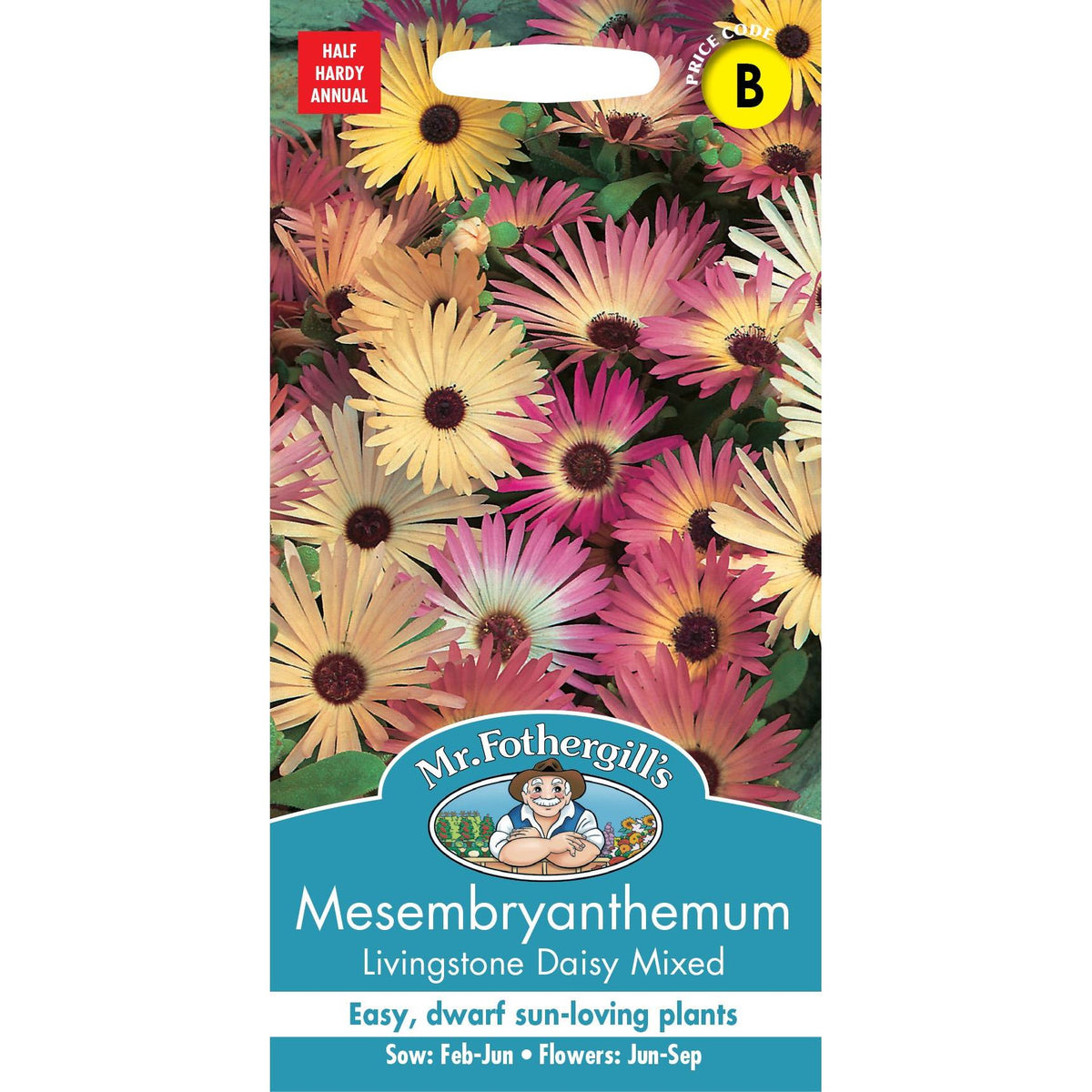 Fothergill Mesembryanthemum Livingstone Daisy Mixed