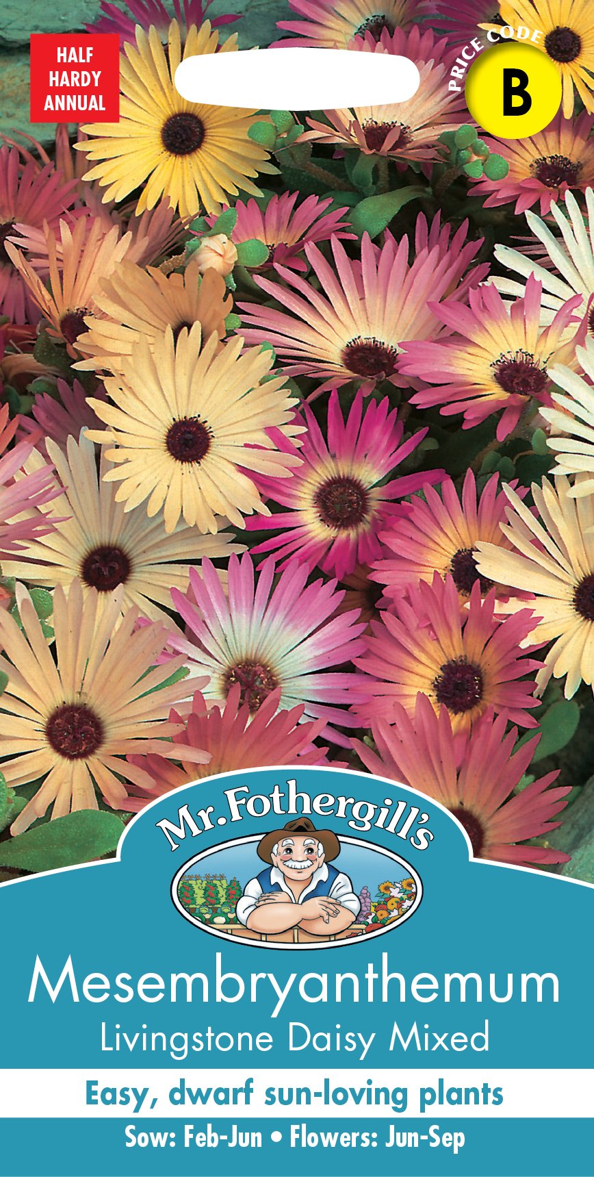 Fothergill Mesembryanthemum Livingstone Daisy Mixed