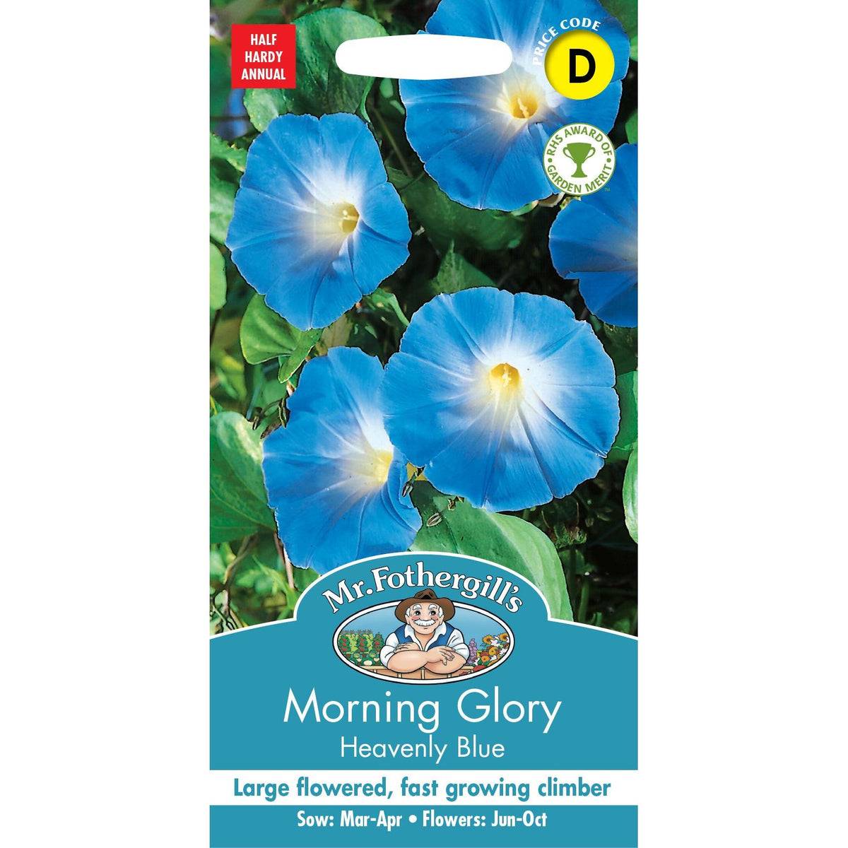 Fothergills Morning Glory Heavenly Blue