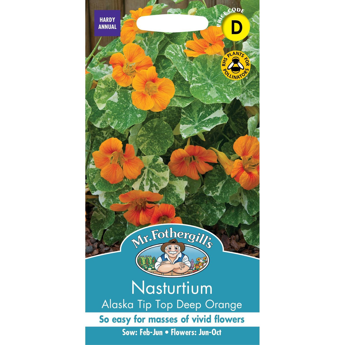 Fothergills Nasturtium Tip Top D Orange