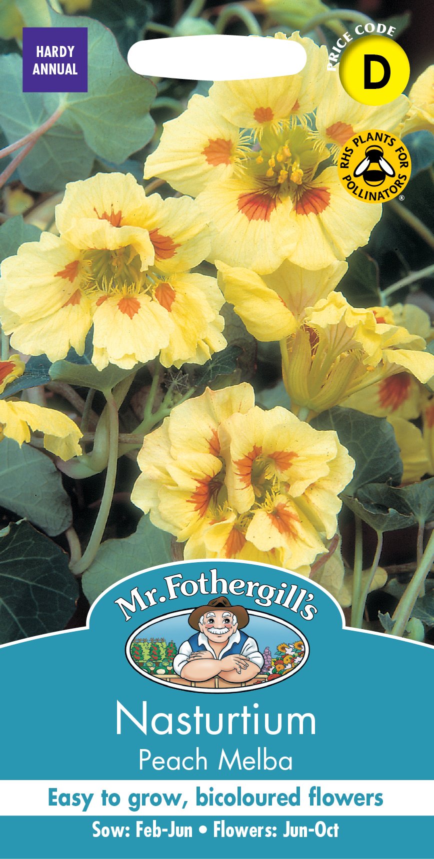 Fothergills Nasturtium Peach Melba