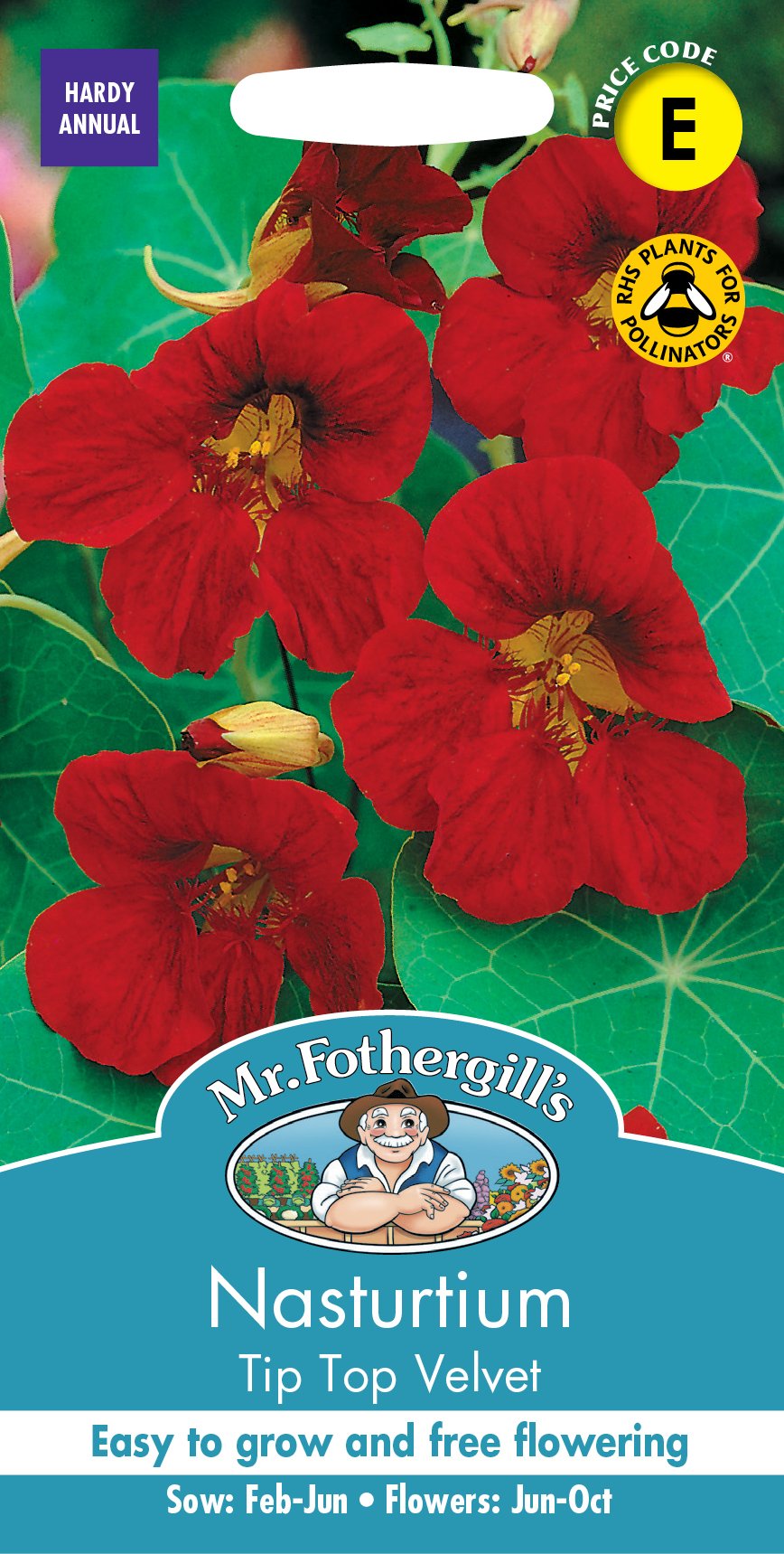 Fothergills Nasturtium Tip Top Velvet