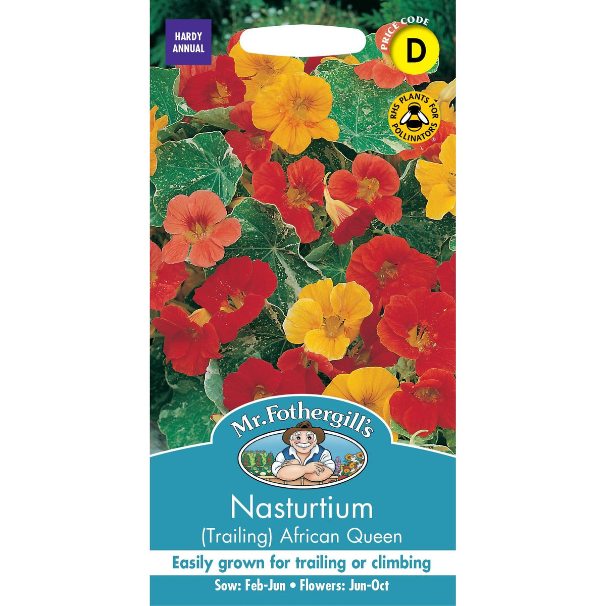 Fothergills Nasturtium African Queen