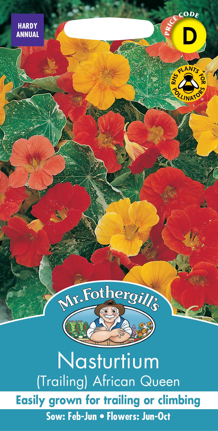 Fothergills Nasturtium African Queen