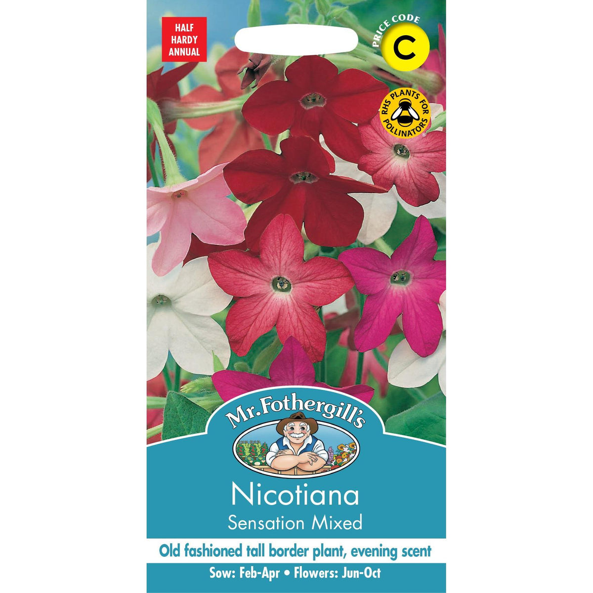 Fothergills Nicotiana Sensation Mixed