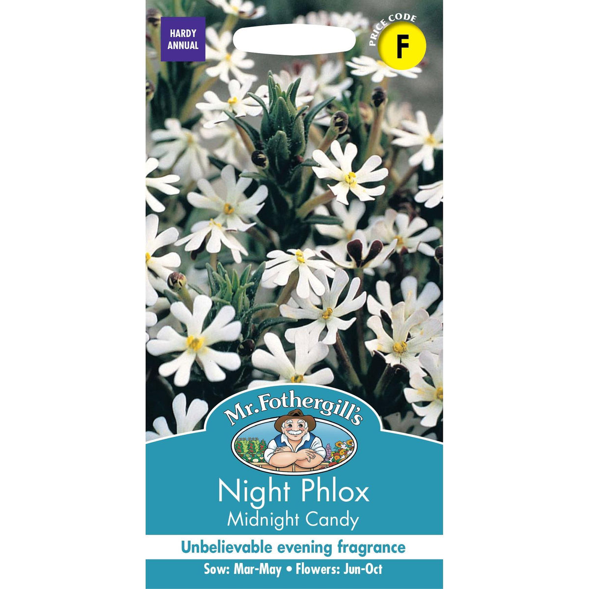 Fothergills Night Phlox Midnight Candy