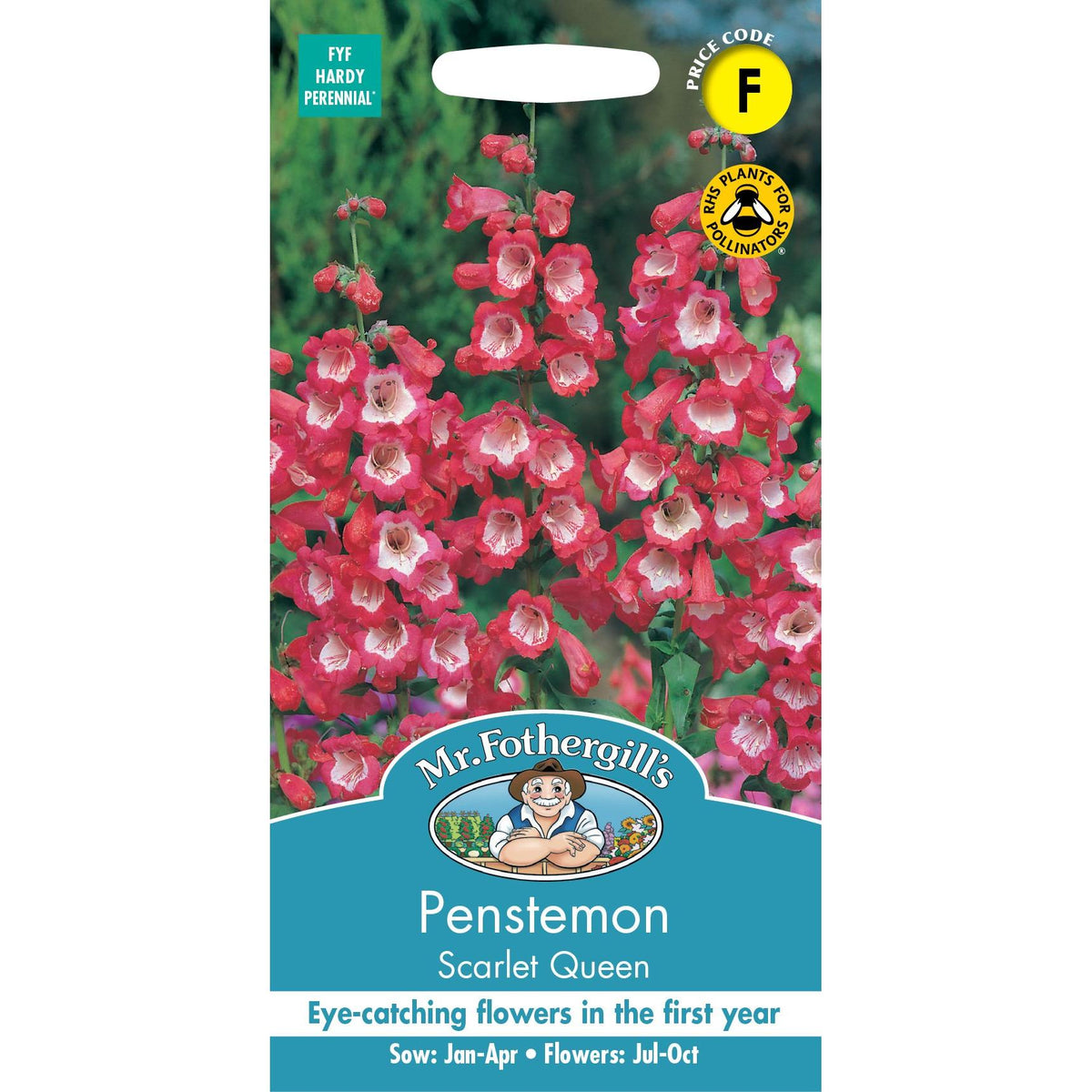 Fothergills Penstemon Scarlet Queen
