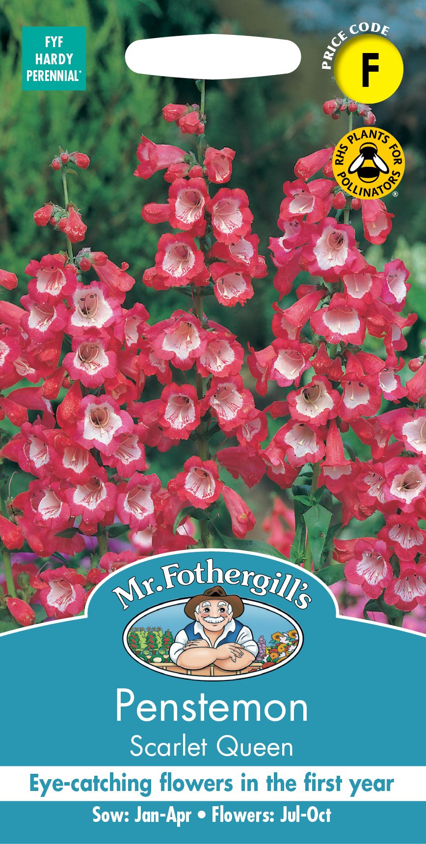 Fothergills Penstemon Scarlet Queen