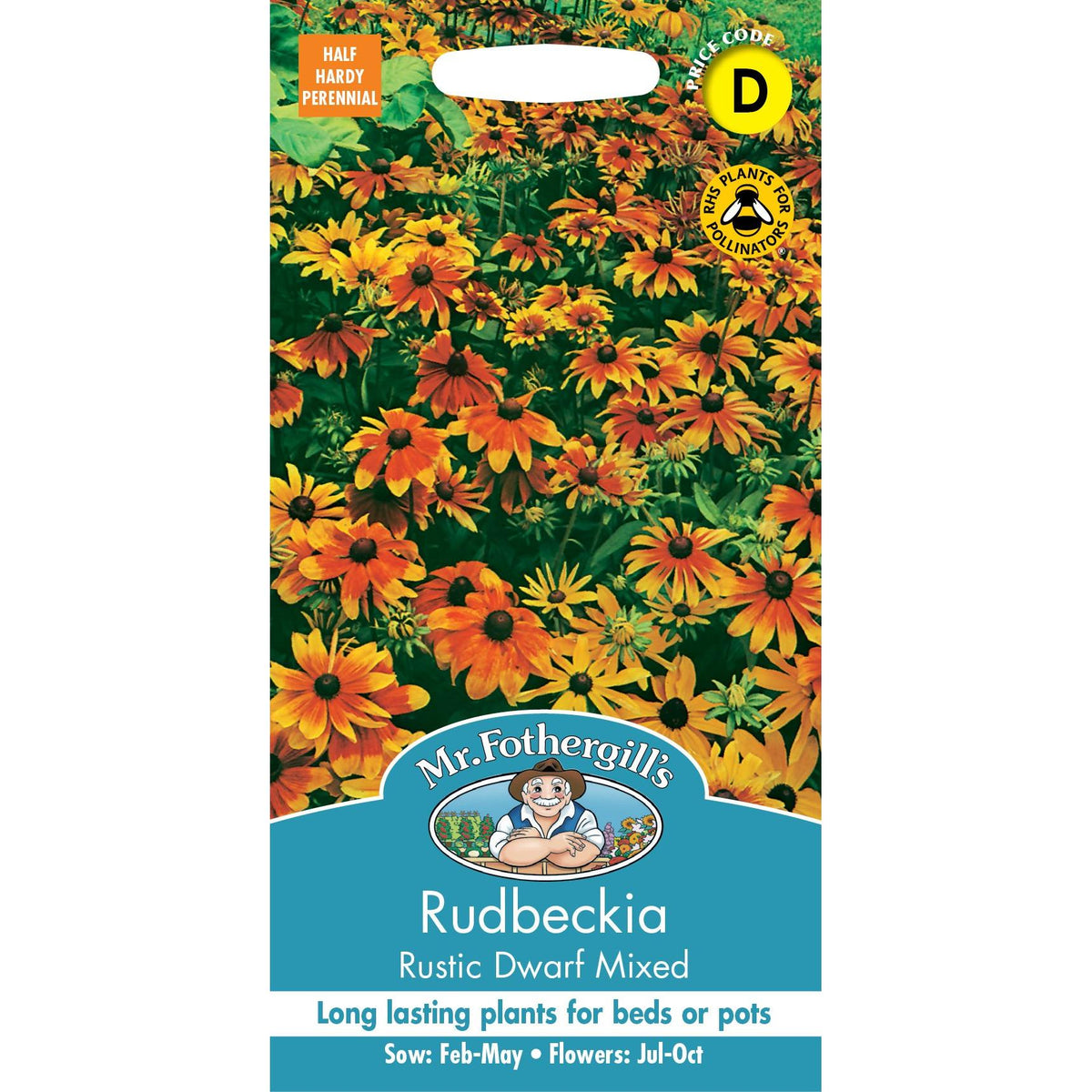 Fothergills Rudbeckia Rustic Dwarf Mixed