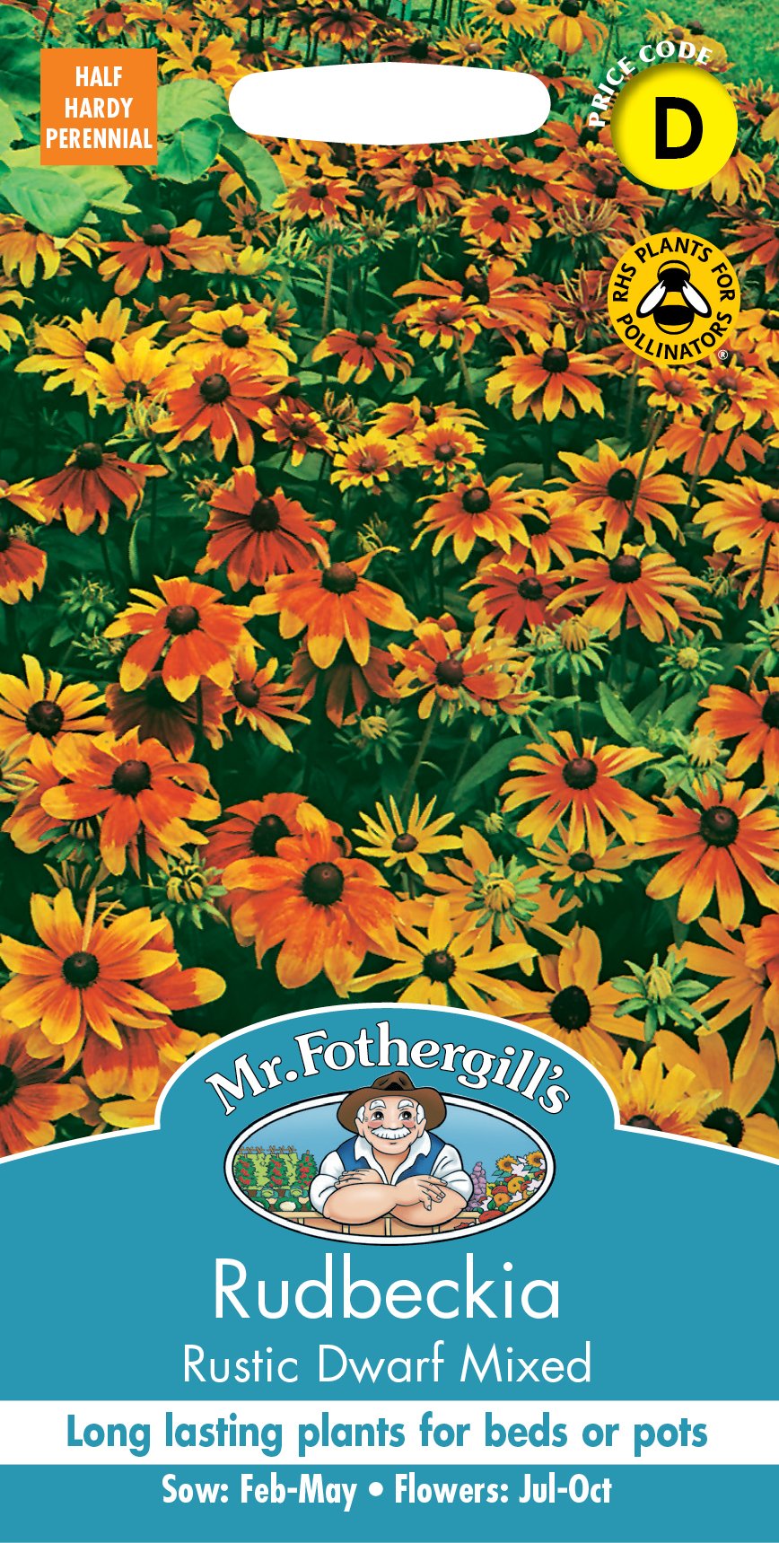 Fothergills Rudbeckia Rustic Dwarf Mixed