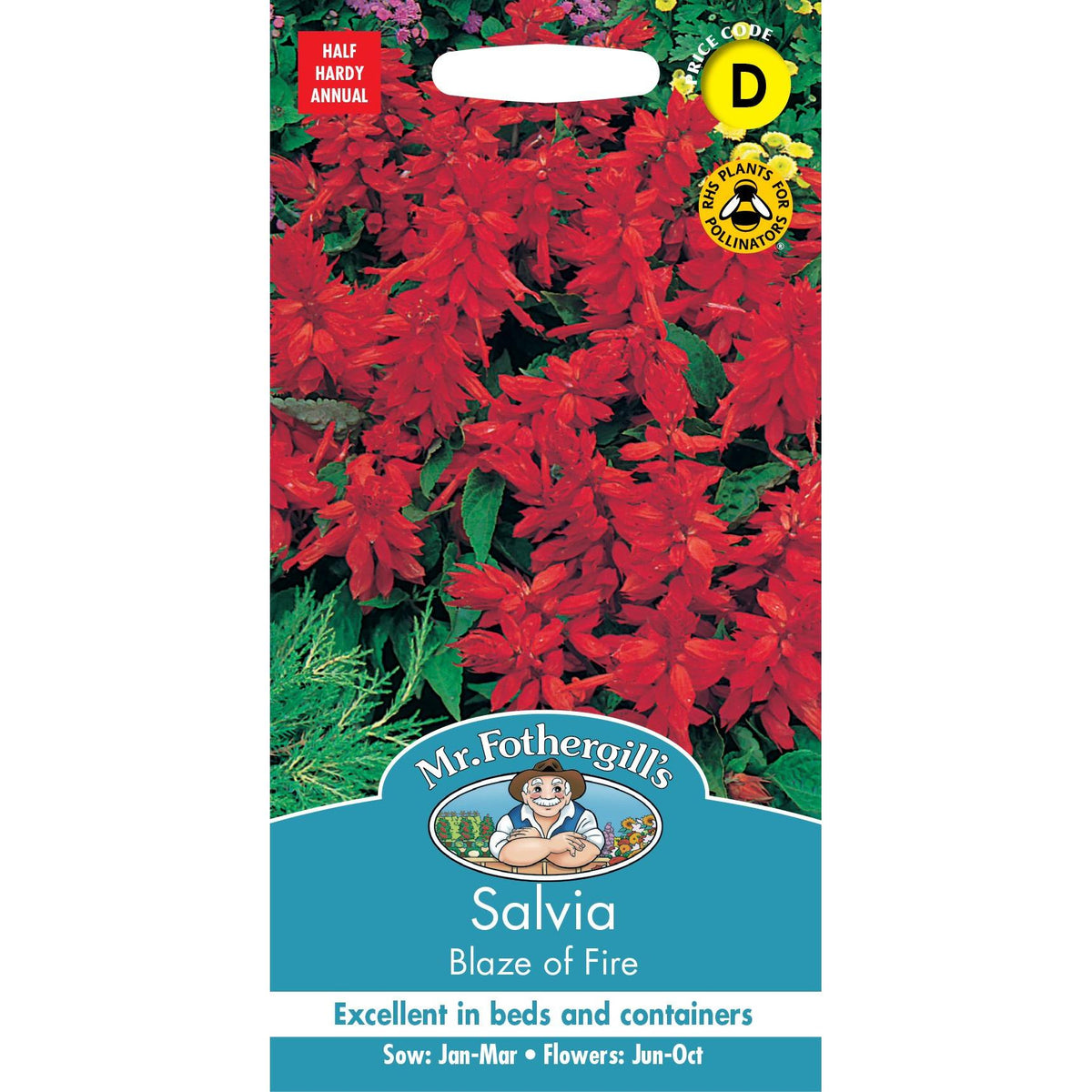 Fothergills Salvia Blaze Of Fire