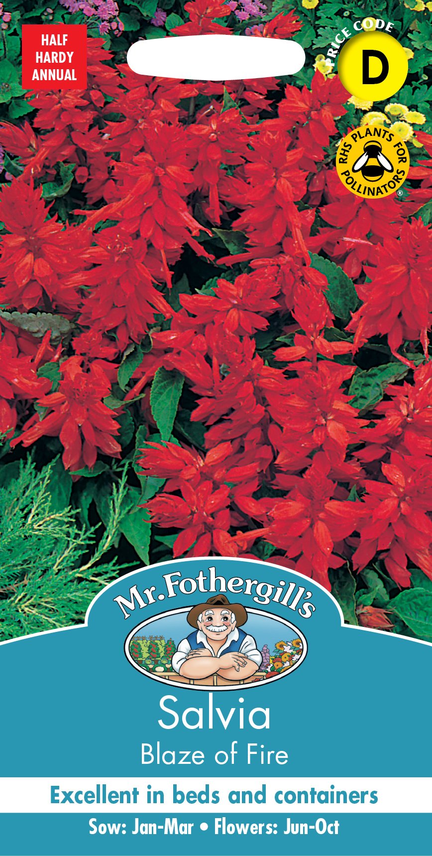 Fothergills Salvia Blaze Of Fire