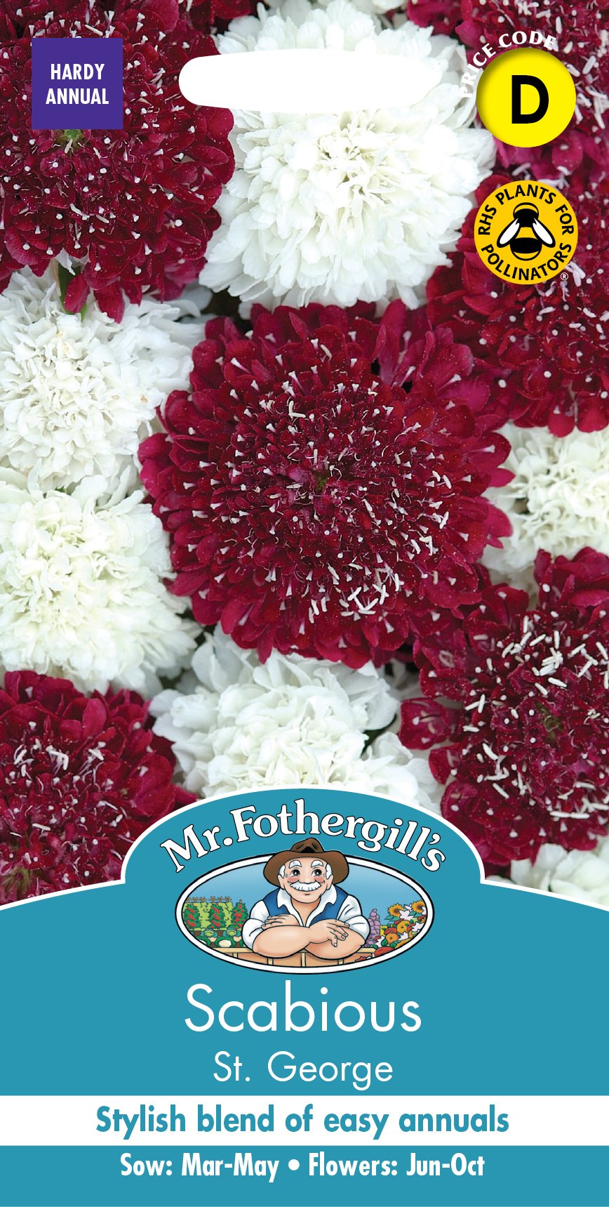 Fothergills Scabious St. George