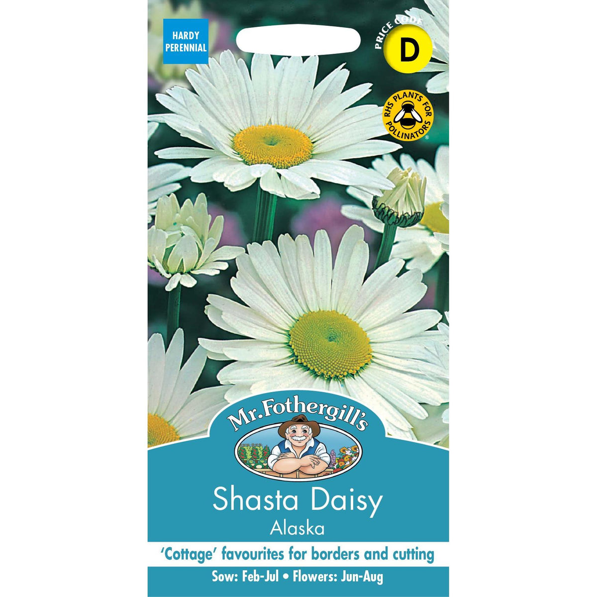 Fothergills Shasta Daisy Alaska