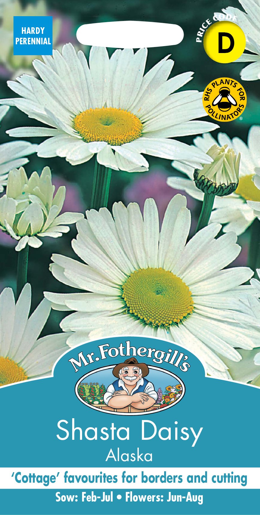 Fothergills Shasta Daisy Alaska