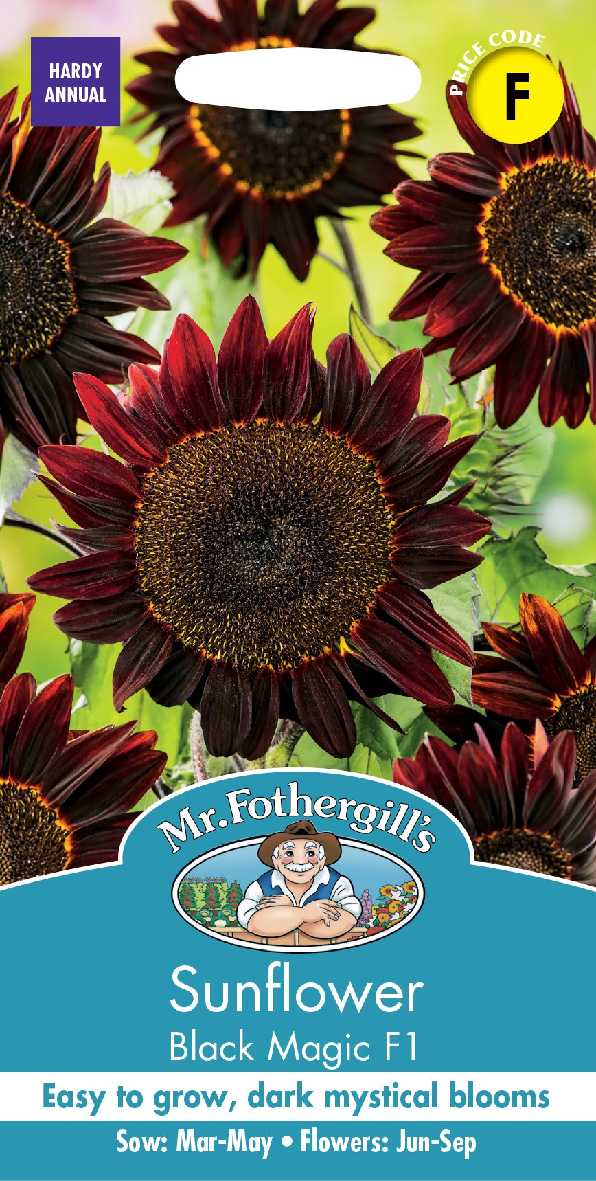 Fothergills Sunflower Black Magic F1
