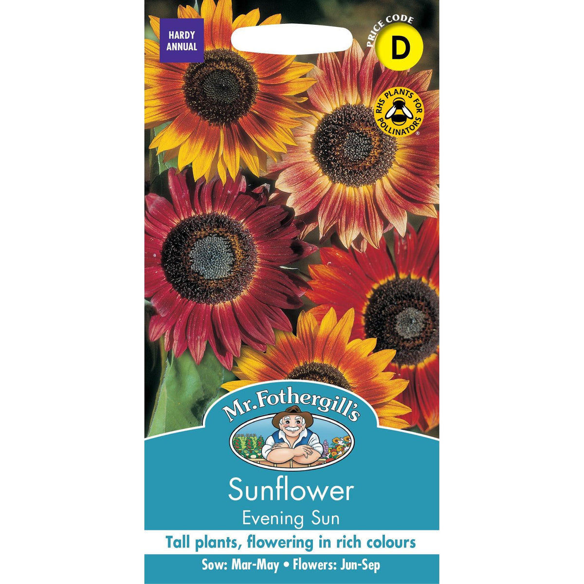 Fothergills Sunflower Evening Sun