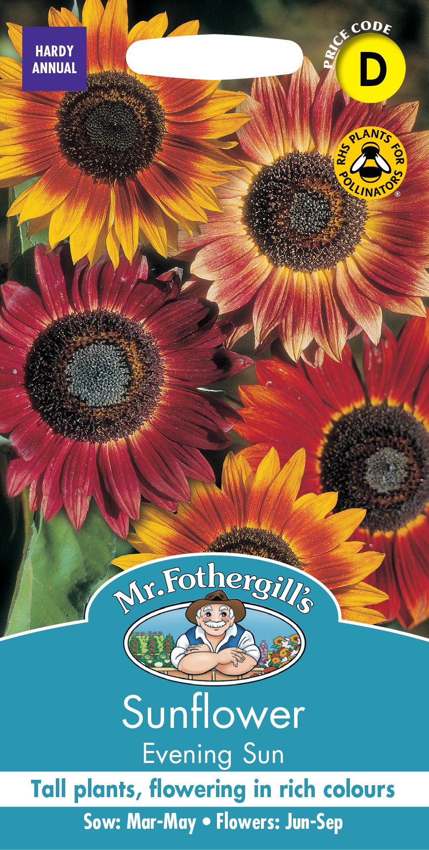 Fothergills Sunflower Evening Sun