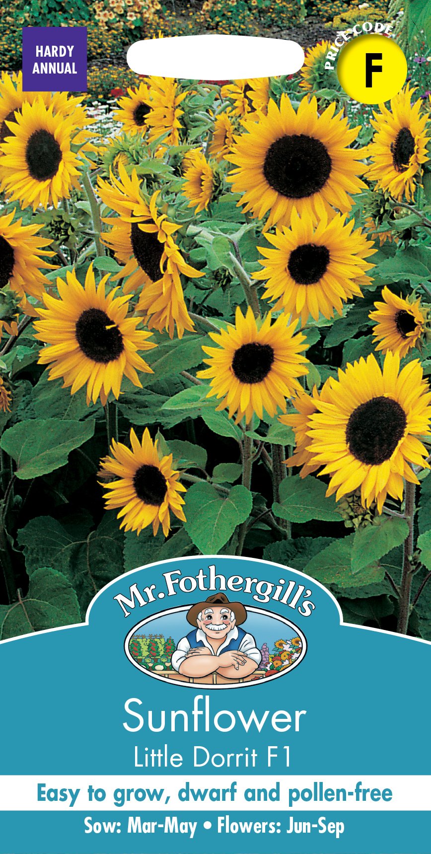 Fothergills Sunflower Little Dorrit F1