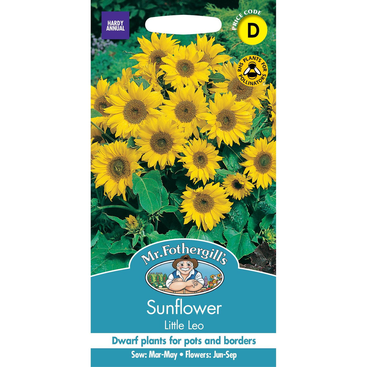 Fothergills Sunflower Little Leo