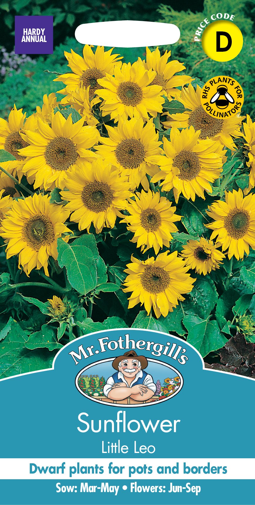 Fothergills Sunflower Little Leo