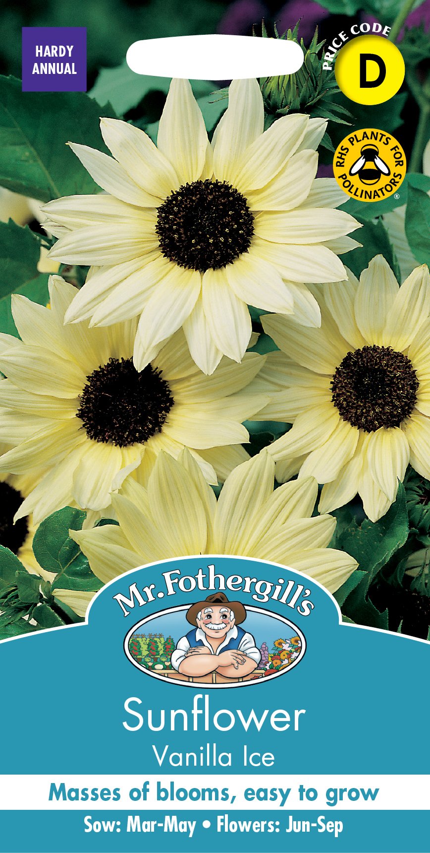 Fothergills Sunflower Vanilla Ice
