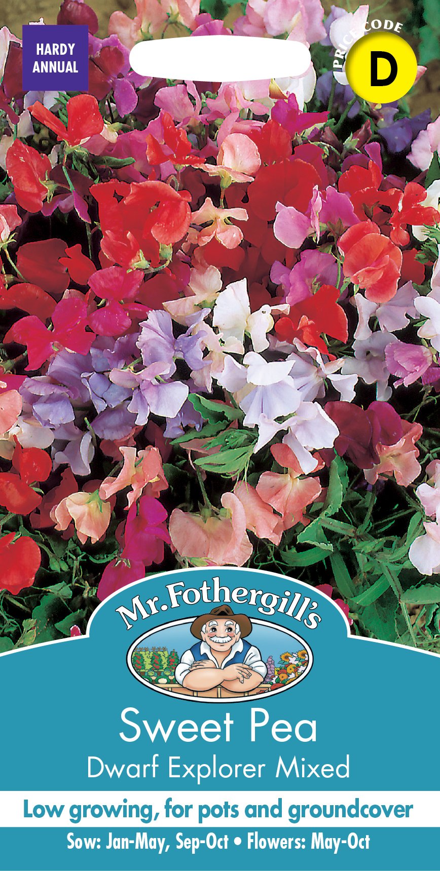 Fothergills Sweet Pea Dwarf Explorer Mixed
