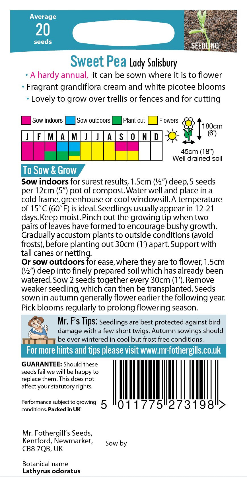 Fothergills Sweet Pea Lady Salisbury
