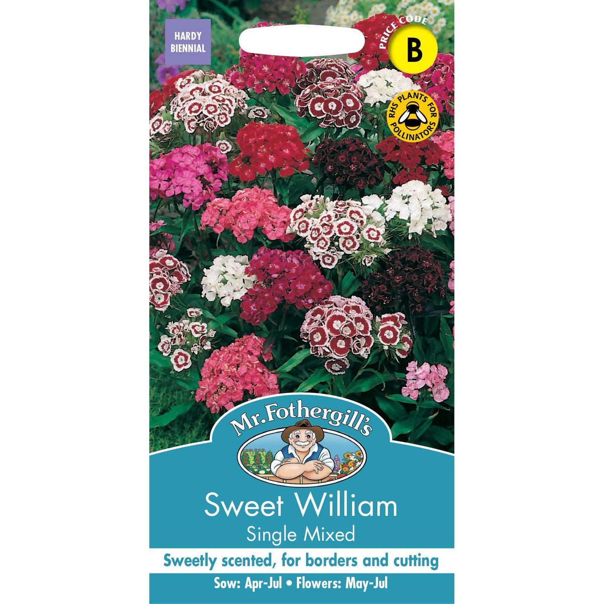 Fothergills Sweet William Single Mixed