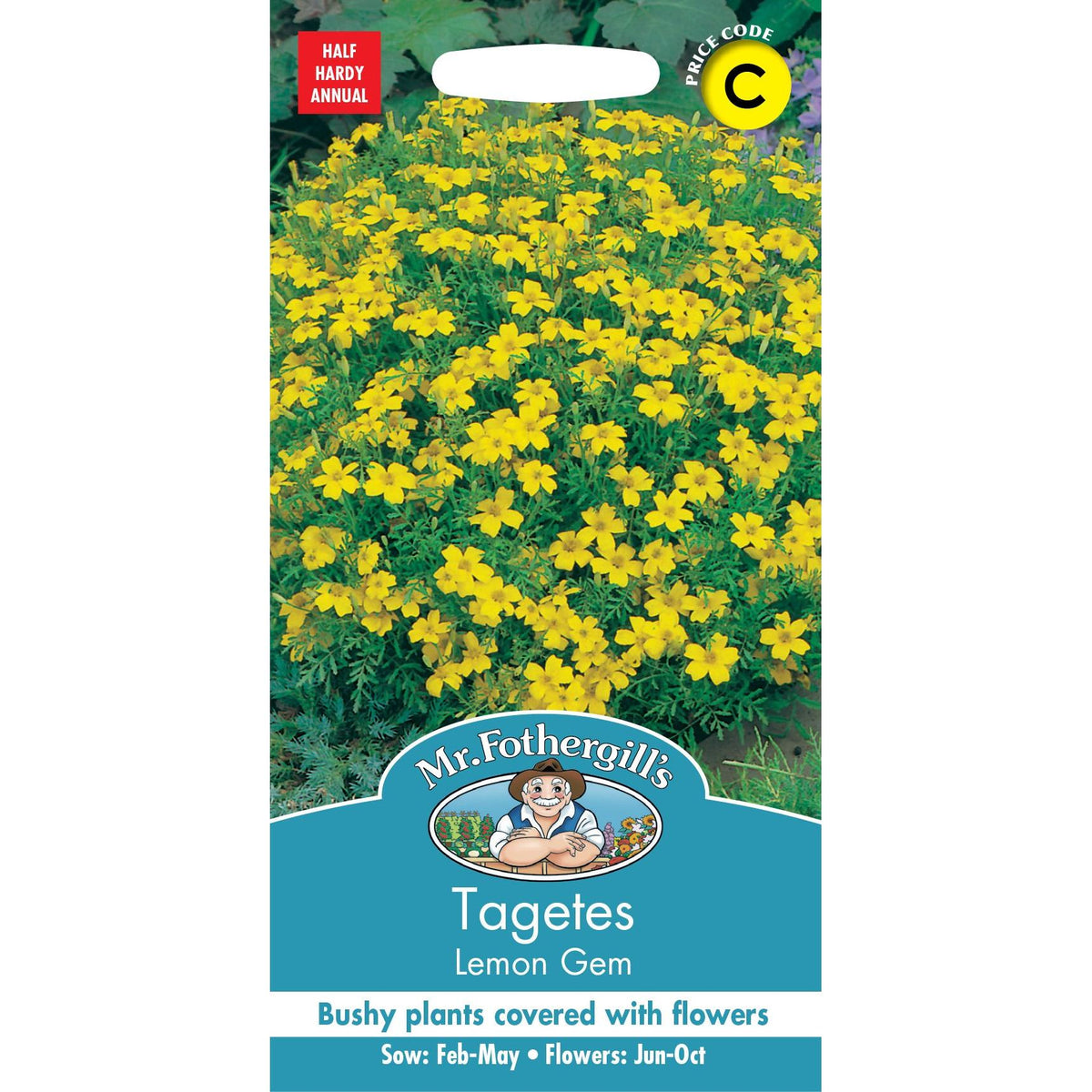 Fothergills Tagetes Lemon Gem