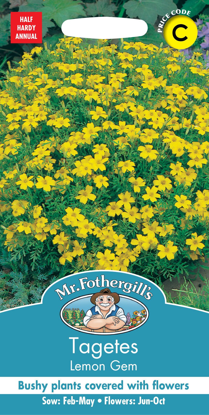 Fothergills Tagetes Lemon Gem