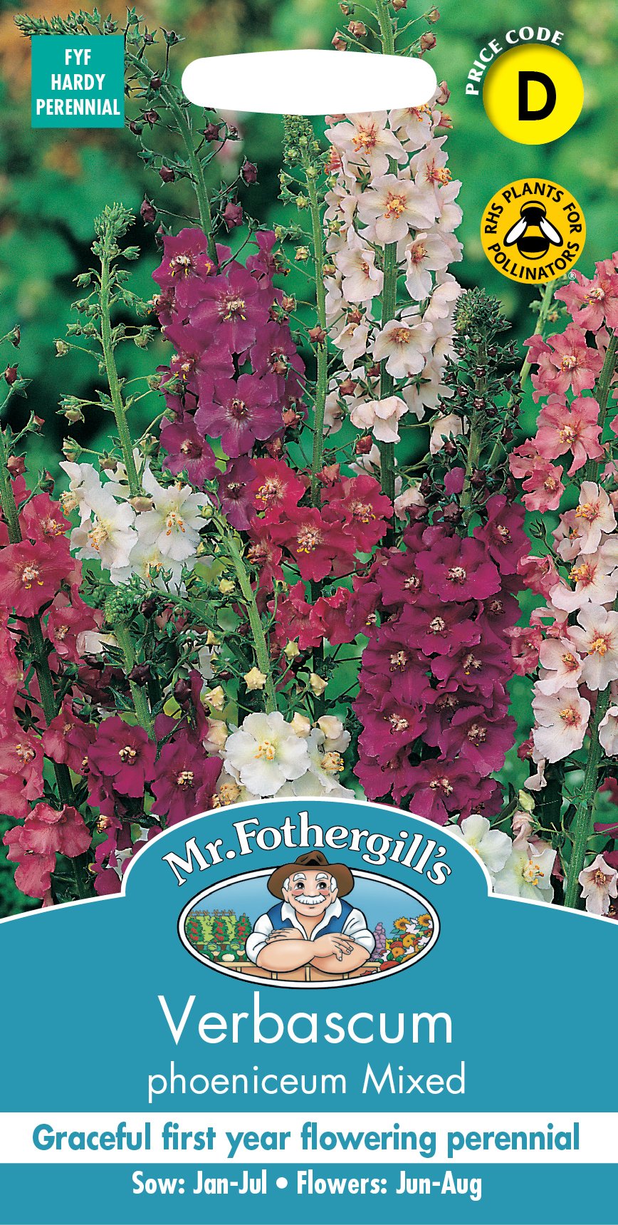 Fothergills Verbascum Phoeniceum Mixed