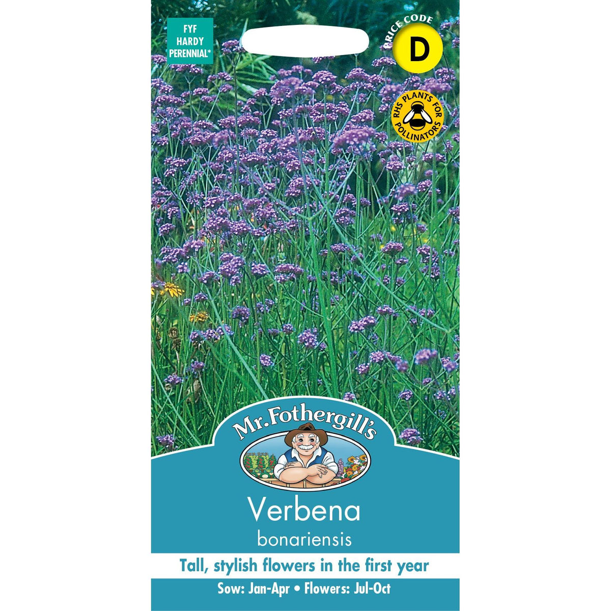 Fothergills Verbena Bonariensis