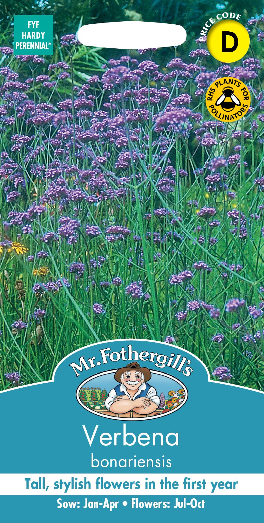 Fothergills Verbena Bonariensis