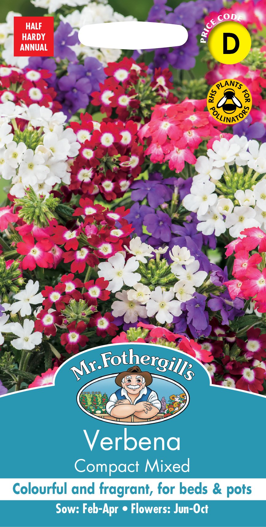 Fothergills Verbena Compact Mixed