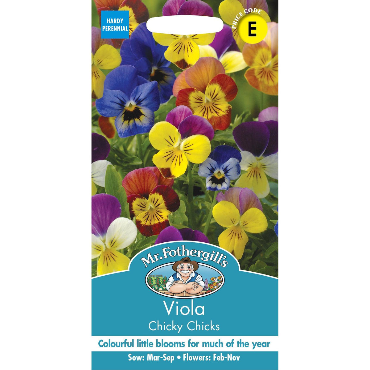 Fothergills Viola Chicky Chicks