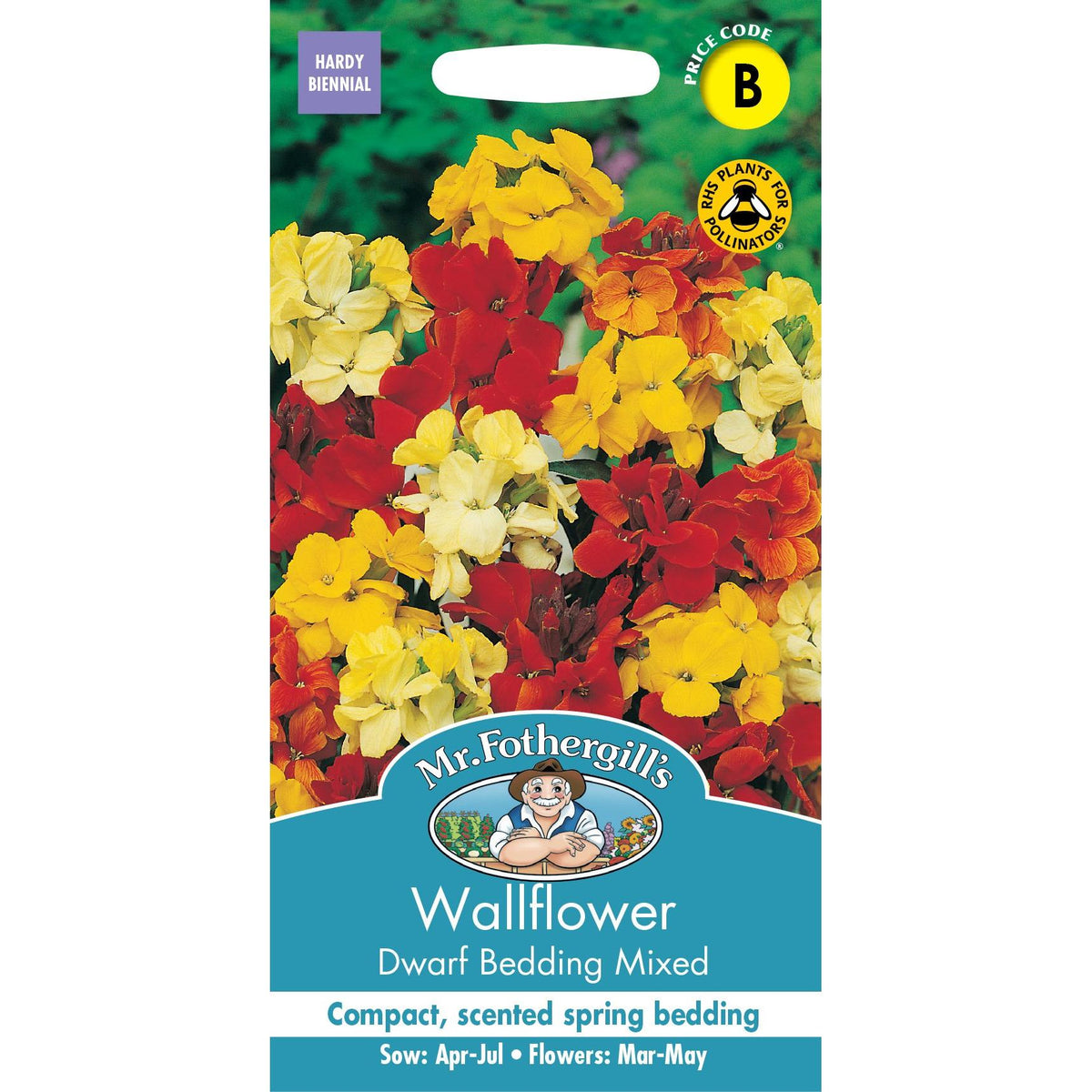 Fothergills Wallflower Dwarf Bedding Mixed